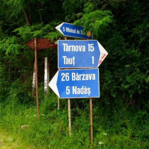indicatoare